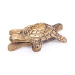 Metallic  Tortoise Kurm Kacchapam Kachua for Good Luck, Success and Prosperity, Vastu and Positive Energy