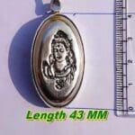 65g Shivnetra Parad Gutika – Genuine Energized Mercury Shivling for Puja and vastu correction by jipanditji