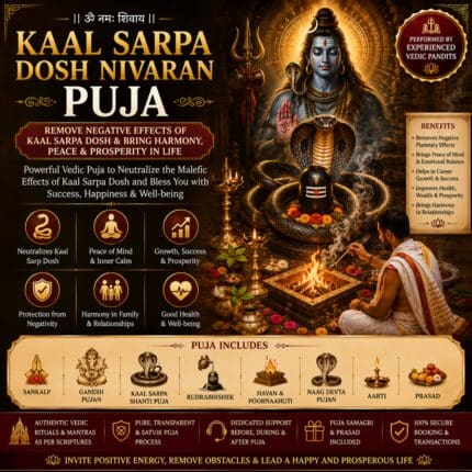 Kaal Sarpa Dosh Nivaran Puja performed by experienced Vedic pandits for relief from Kaal Sarpa Dosha, peace, prosperity, and Lord Shiva's blessings