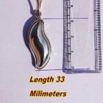 20g Shivnetra Parad Gutika – Genuine Energized Mercury Shivling for Puja and vastu correction by jipanditji