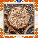 Jau (Barley) – Sacred Offering for Havan & Tarpan 